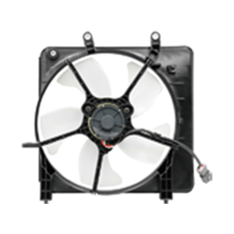 FITIJAZZ (RAD FAN) 2005-2006 CFHS02