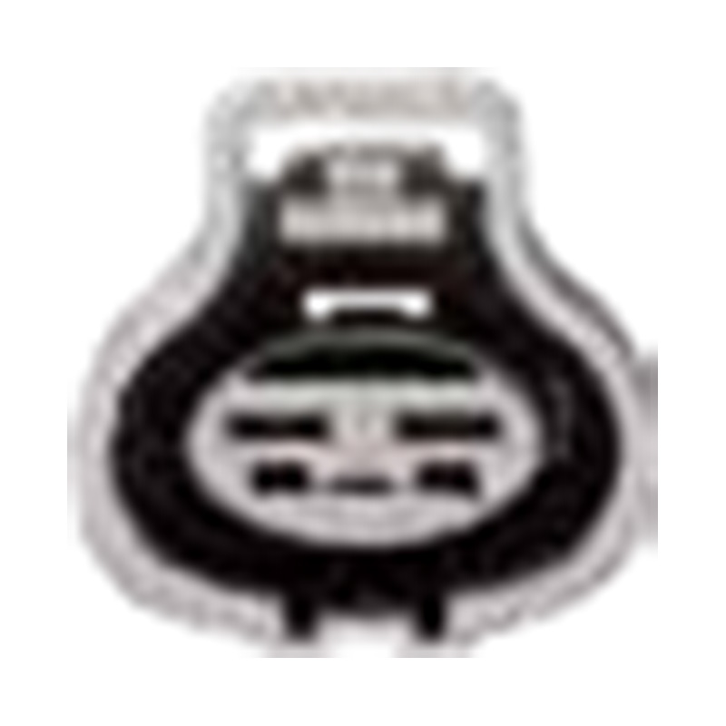 Tá Hangzhou Golden Sun Autoparts Co., Ltd.